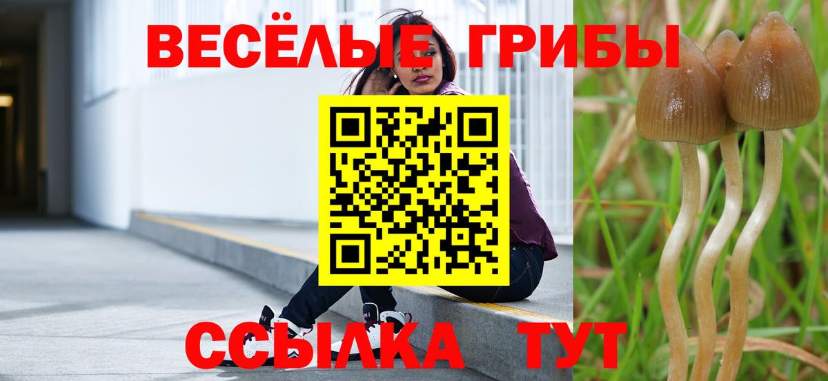 Псилоцибиновые грибы GOLDEN TEACHER Анапа
